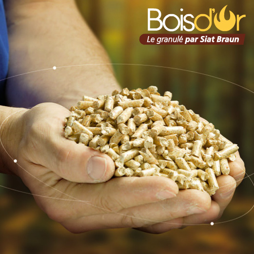 Les pellets « Bois D’or » Vicabois.beVicabois.be — free download